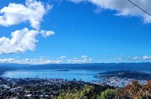 Wellington Trails, Coffee & Craft Beer