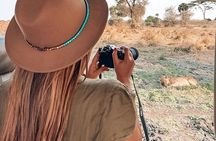 4 Days Best of Tanzania Safari Tour - Big five Experience