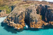 Phillip Island: High-Speed Sea Caves Boat Tour with Seal Sighting