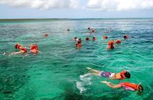 Catalina Island Snorkeling Tour from Punta Cana