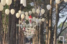 Private Nami Island & Surrounding Attractions Tour
