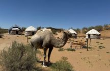 Nurata Mountain & Kyzyl-kum Desert 3 Day Tour From Samarkand or Bukhara
