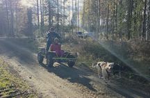 Husky kennel Visit with Wagon or Sled Ride