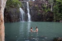 Airlie Beach: 3-hour Cedar Creek Small-Group Eco Half-Day Tour