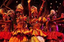 A Night of Rhythm and Cuisine: Safari Park Cat Dance Experience
