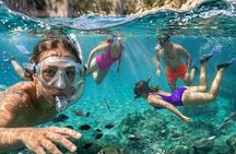 Beautiful boat tour in the Calanques with swimming