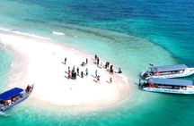 Redang Island Snorkeling Day Trip Experience
