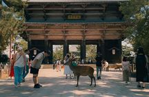Experience Culture History and Landmarks in Kyoto Nara