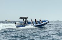 Coastal excursion with cetacean search island of La Palma