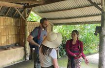 Gunung Kawi Temple Ubud Waterfall And Swing Private Guided Tour