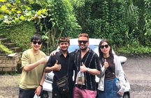 Gunung Kawi Temple Ubud Waterfall And Swing Private Guided Tour