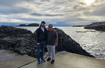 Giants Causeway and FREE Belfast Mural Tour for Cruisers