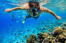 Tiran Island Excursion From Sharm Elsheikh