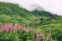 Hatchers Pass Day or Evening Scenic and Narrated Drive