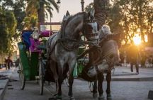 Marrakech! 1 hour traditional horse - drawn carriage tour
