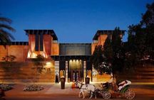 Marrakech! 1 hour traditional horse - drawn carriage tour