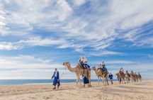 Camel Ride in Cabo San Lucas with Pick up and All Inclusive