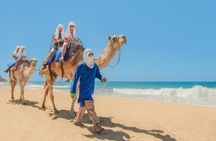 Camel Ride in Cabo San Lucas with Pick up and All Inclusive