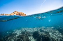 Private Los Cabos snorkeling tour to Chileno bay and Santa Maria cove