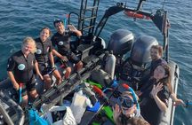 Snorkel with the Turtles - Fast Boat