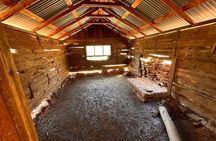 Sedona Seven Canyons Jeep Tour: Van Deren Cabin & Dry Creek Basin