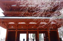 Mt Koya UNESCO Tour : Live Goma Fire Ritual & Hidden Shrine