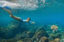 Snorkel with the Turtles - Fast Boat