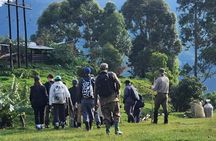 3 days Gorilla tracking Bwindi and Lake Bunyonyi Relaxation