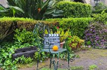 The Godfather Saga Tour from Taormina