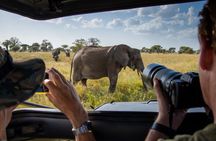 Private 6 Day Arusha Adventure Tour by 4WD