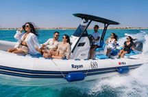Hurghada Private Speed Boat Trip to Dolphin House & Snorkeling