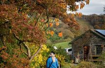Beatrix Potter's Half Day Lake District Tour Including Lake Cruise