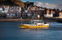 North York Moors and Whitby Day Tour from York