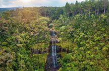 Authentic Exclusive Chamarel Tour visit to 4 Parks and Lunch