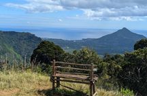 Authentic Exclusive Chamarel Tour visit to 4 Parks and Lunch