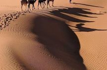 Merzouga Desert 2 Days of Dromedary Ouarzazate and Bivouac