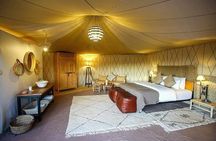 Merzouga Desert 2 Days of Dromedary Ouarzazate and Bivouac