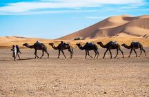 3 Days Discovery of Oasis, Desert and Valleys in Morocco