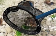 Tenerife: Pick A Pearl Experience with Jewellery Setting