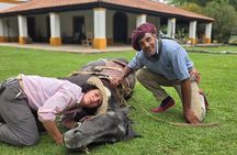 Private Day Tour to an Argentinian Estancia