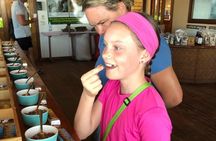 Roatan ATV Adventure City Tour and West Bay Beach Break