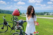 Quebec City - Guided E-Bike Tour & Tastings - Ile d'Orléans