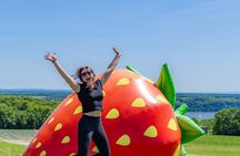 Quebec City - Guided E-Bike Tour & Tastings - Ile d'Orléans