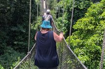 Takoradi Shore: Kakum, Cape Coast & Elmina Castle Tour with Lunch