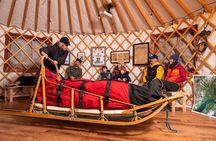 Iditarod Sled Dog Kennel Tour Meet Champion Dogs in Alaska