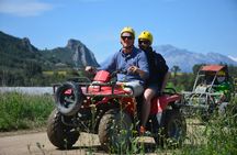 Side Quad or Buggy Safari Adventure with Hotel Transfer