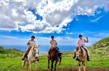 Afternoon Mountain Vista Horseback Trail Ride on Oahu