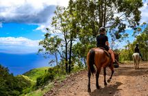 Afternoon Mountain Vista Horseback Trail Ride on Oahu