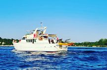 Sunset Cruise with Dolphin Spotting from Umag with Welcome Drink