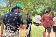 Oasis Taíno Caves of Wonders And Cenote And Dominicus Beach